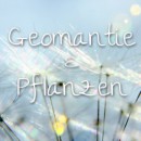 Geomantie & Pflanzen