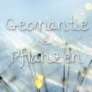 Geomantie & Pflanzen